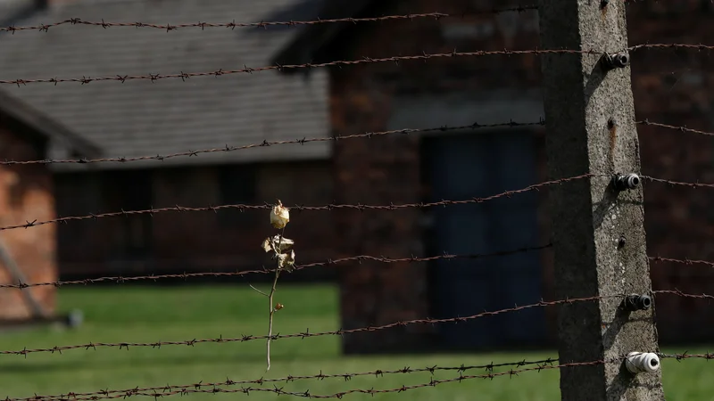 Fotografija: Ob mednarodnem dnevu spomina na žrtve genocida nad Romi bo danes potekala spominska prireditev Noč, ko so violine obmolknile. FOTO: Kacper Pempel/Reuters