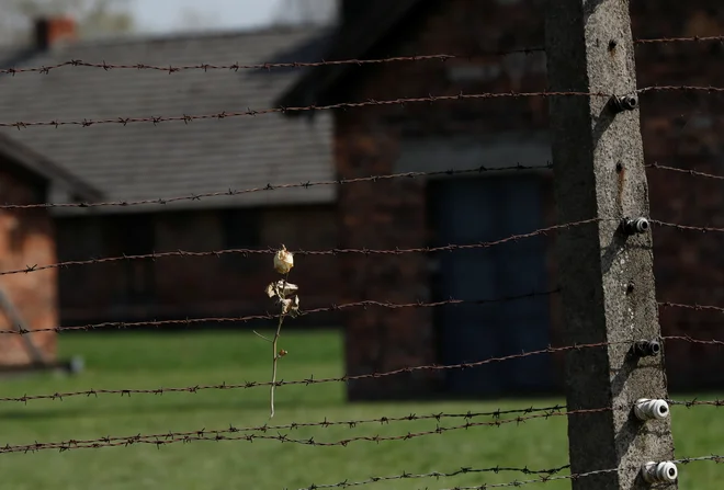 Ob mednarodnem dnevu spomina na žrtve genocida nad Romi bo danes potekala spominska prireditev Noč, ko so violine obmolknile. FOTO: Kacper Pempel/Reuters