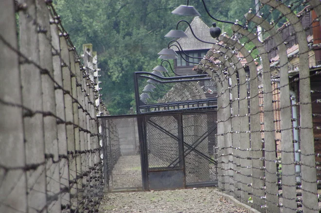 Po doslej zbranih podatkih je preživelo samo šest slovenskih Romov, ki so bili odpeljani v Auschwitz. FOTO: Peter Rak