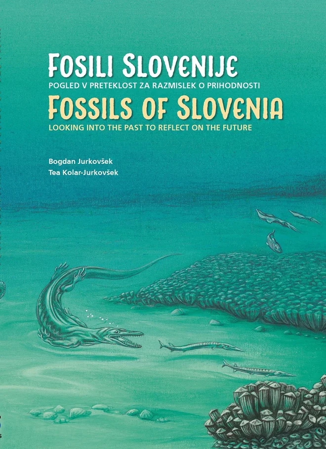 Naslovnica knjige Foto Geozs
