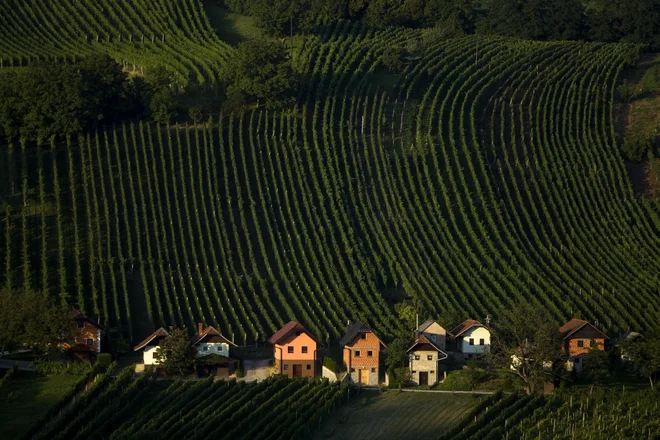 Tudi v Prekmurju se dobro (in veliko) je, lokalna ponudba pa sega širom Slovenije. FOTO: Voranc Vogel/Delo