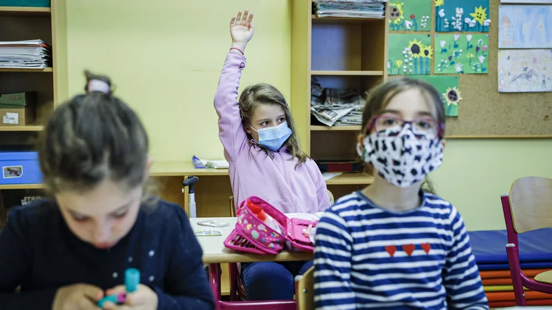 Fotografija: Podrobnosti o novem šolskem letu bodo ravnatelji dobili 24. avgusta, zahtevajo pa, da šole ostanejo odprte. FOTO: Jože Suhadolnik/Delo