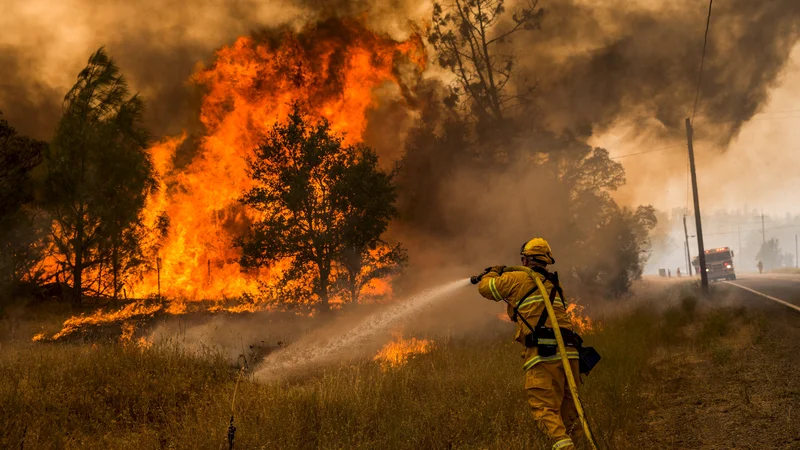 Fotografija: Takole so se gasilci proti ognju borili leta 2015 samo 180 kilometrov severno od San Francisca. FOTO: Max Whittaker/ Reuters