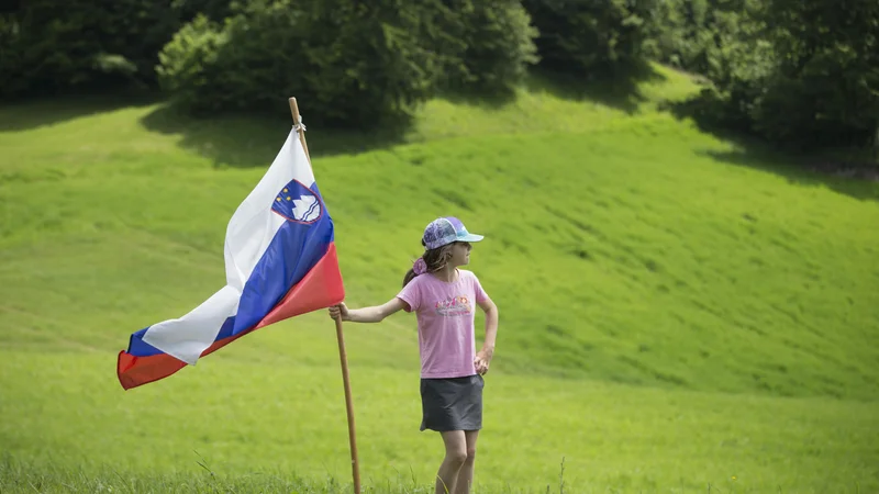 Fotografija: Selektor slovenske izbrane vrste Aleksander Sekulić je v zadnjih dneh napol v šali pozval delodajalce, naj bodo prizanesljivi in omogočijo ogled tekme. FOTO: Jure Eržen/Delo