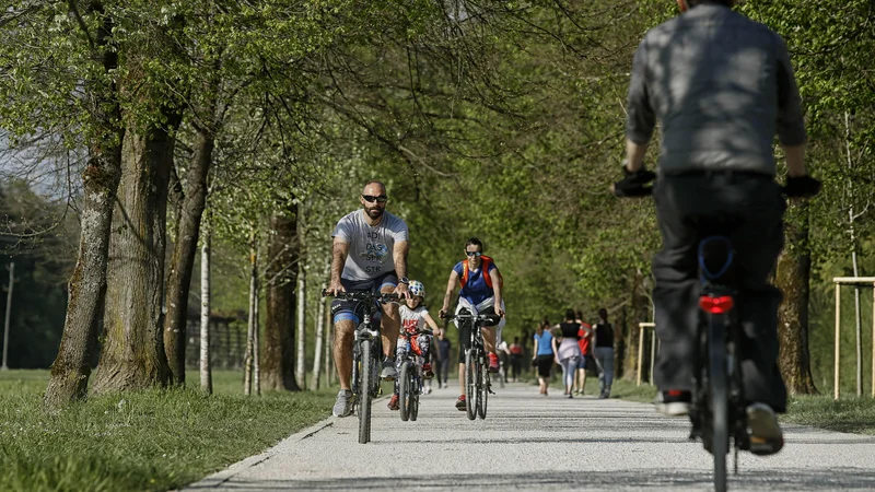 Fotografija: Zdravstvo lahko razbremeni ozaveščenost, razum in lojalnost posameznika, ki opolnomoči družbeni uspeh. FOTO: Blaž Samec/Delo