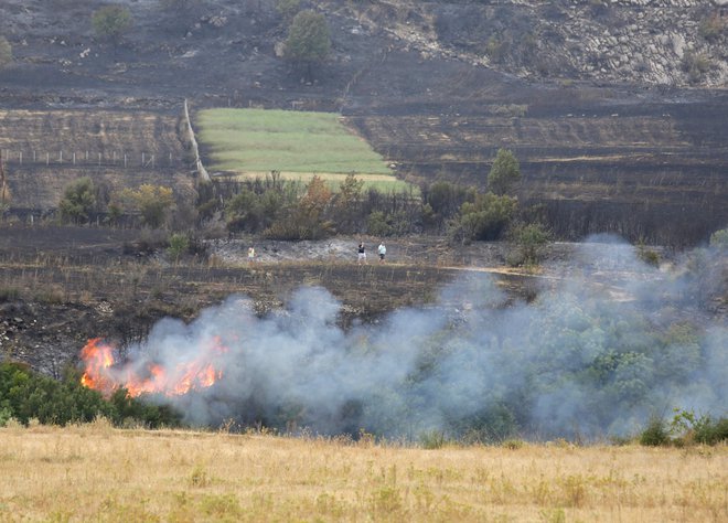 Gozdni požari v vasi Gjorm blizu mesta Vlora v Albaniji. FOTO: AFP