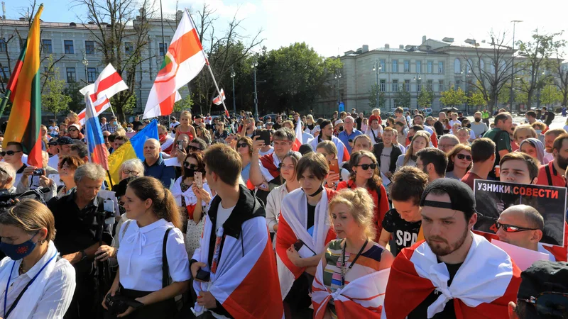 Protestniki so se lanskih predsednišklih volitev v Belorusiji spomnili v sosednjem Vilniusu, ne pa tudi v Minsku. FOTO: Petras Malukas/AFP