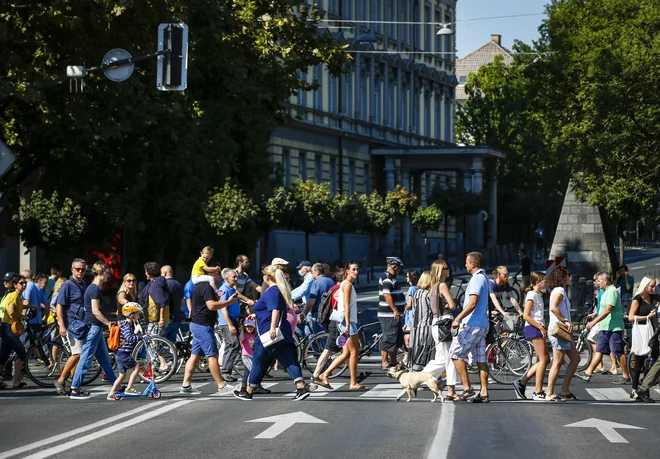 Povpraševanje po novi delovni sili je na skoraj vseh področjih dejavnosti. FOTO: Matej Družnik/Delo