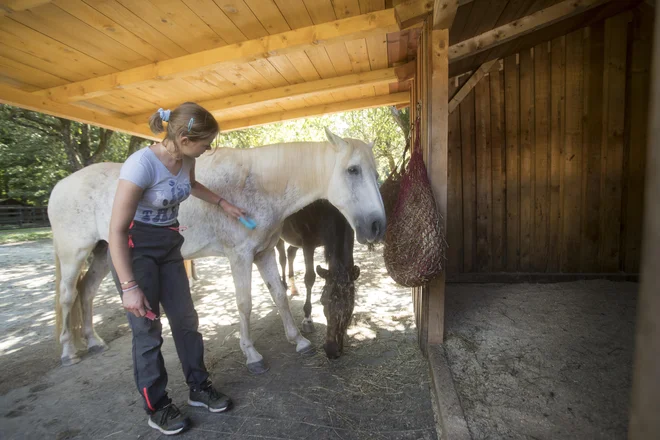 Gregoričeva je navdušena nad prostovoljko Kajo, ki je kos vsem zahtevnim opravilom na štiri hektare velikem ranču. FOTO: Jure Eržen/Delo