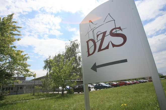Ekdis se je pritožil tako na seznam terjatev kot na oceno zavarovanja &ndash; delnic DZS. Nasprotuje, da bi bila vrednost delnic DZS nič evrov, saj družba ni insolventna. Foto Uroš Hočevar
