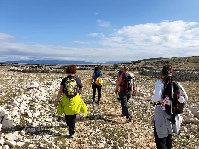 Camino na otoku Krku. FOTO: Janez Mihovec