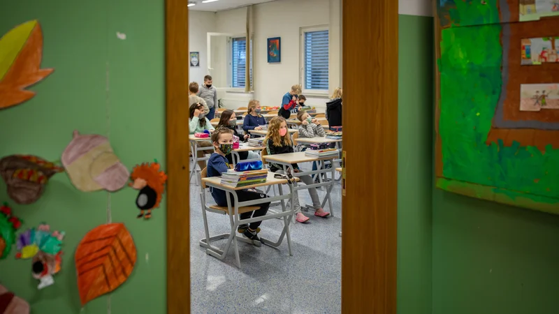 Fotografija: Informacije o začetku šolskega leta bodo ravnatelji vrtcev, osnovnih in srednjih šol ter predstavniki sindikatov dobili jutri. FOTO: Voranc Vogel/Delo