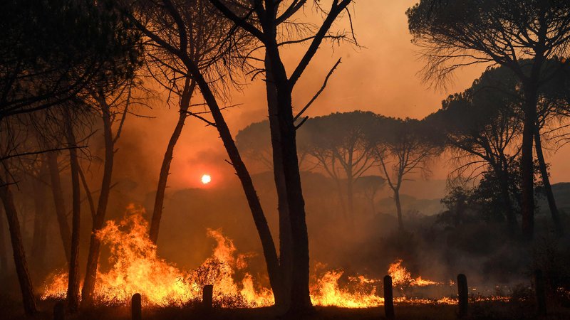 Fotografija: Goreči prizori blizu Gonfarona v departmanu Var. FOTO: Nicolas Tucat/AFP