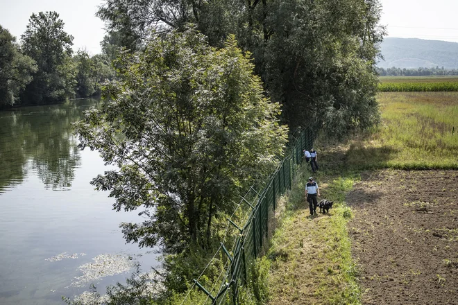 Fotografija je simbolična. FOTO: Voranc Vogel/Delo