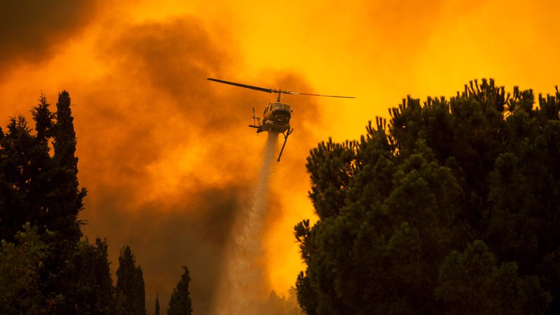 Fotografija: Gozdni požari divjajo po Grčiji. FOTO: Angelos Tzortzinis/Afp