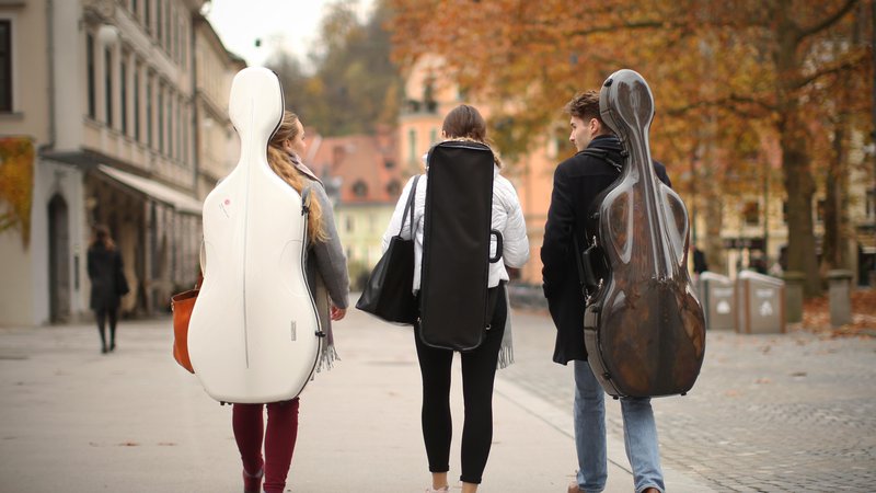 Fotografija: S štipendijami so si študentje pokrili stroške bivanja, šolnine oz. nakupe dragih instrumentov. FOTO: Jure Eržen/Delo