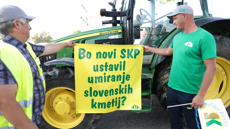 Fotografija: Kmetje se bodo morali prilagoditi ne le na podnebne spremembe, temveč tudi na spreminjajoče se prehranske navade potrošnikov, ki posegajo po manj mesa in več zelenjave. FOTO: Mediaspeed.net