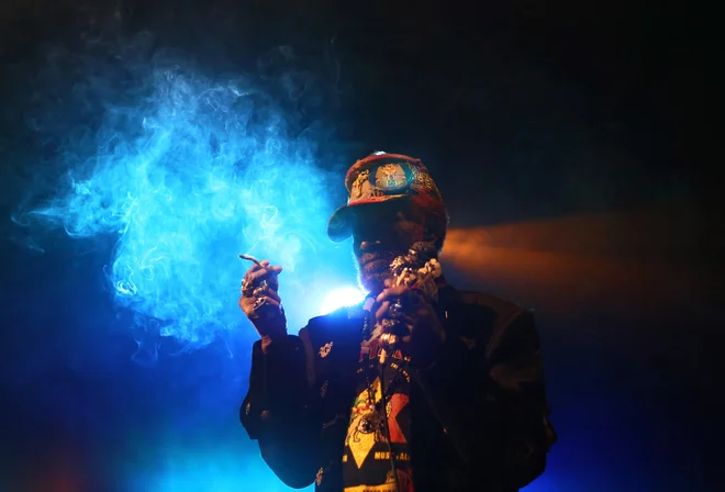 Nastop 82-letnega Leeja &raquo;Scratcha&laquo;&nbsp;Perryja na vrtu Gala Hale na Metelkovi aprila 2018. FOTO: Matej Družnik