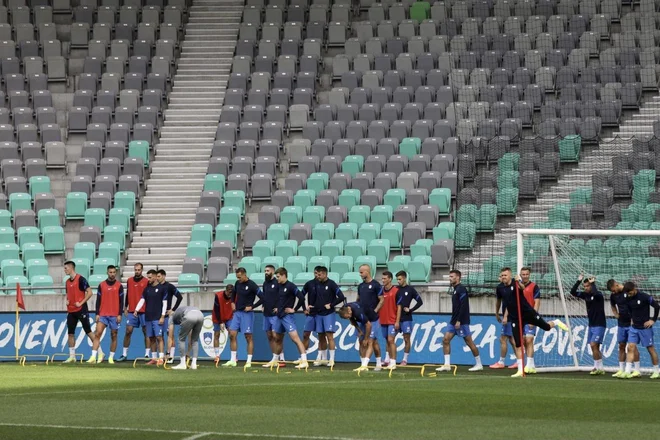 Slovenska reprezentanca med treningom v Stožicah. FOTO: Voranc Vogel/Delo