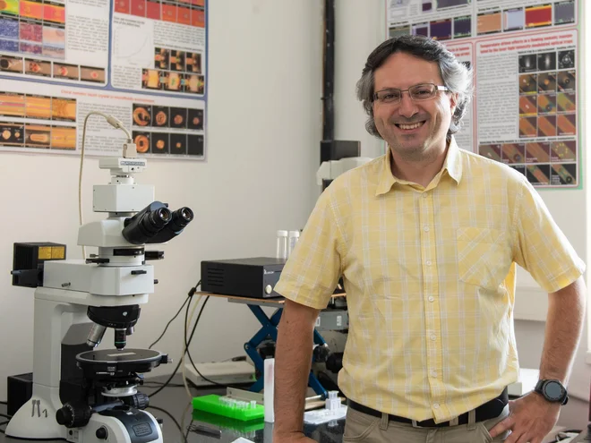Dr. Uroš Tkalec je zaposlen kot docent za fiziko na Fakulteti za naravoslovje in matematiko Univerze v Mariboru in kot znanstveni sodelavec na Inštitutu za biofiziko Medicinske fakultete v Ljubljani. FOTO: Osebni arhiv