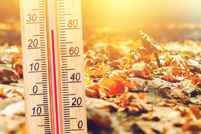 Ker zunanji viri toplote popuščajo, je jesen tudi čas, ko v našo kuhinjo ponovno vstopa topla hrana. FOTO: Shutterstock