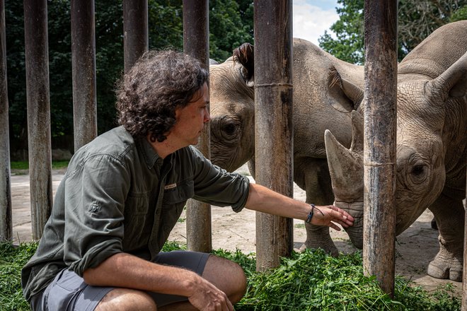 Jan Stejskal je koordinator mednarodnega projekta <em>BioRescue</em> za rešitev severnih belih nosorogov pred izumrtjem. FOTO: Matjaž Krivic