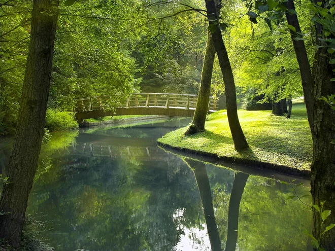 Protokolarni park Brdo pri Kranju že čaka na tekače. FOTO: Grega Eržen