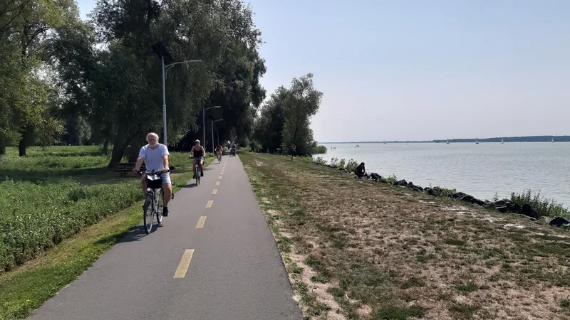 Zadnja leta je Blatno jezero pravi hit tudi zaradi urejenih kolesarskih poti. FOTO: Mitja Felc/Delo