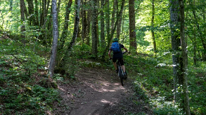 Lani se je dogodka na 41 različnih etapah udeležilo več kot 300 planincev na kolesu. FOTO: Peter Vrčkovnik