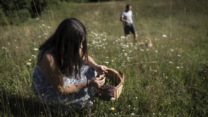 Fotografija: Nekatere države imajo še vedno zelo dobro poseljeno podeželje. Drugje se soočajo z demografskimi puščavami, kjer ljudje več ne živijo. FOTO: Voranc Vogel/Delo