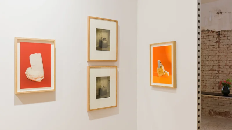 Fotografija: Sodeč po diskretnih rdečih pikah ob razstavljenih delih, ki označujejo prodana dela, je bila med najuspešnejšimi udeleženci sejma ljubljanska Galerija Fotografija. Foto Kunst-dokumentation.com