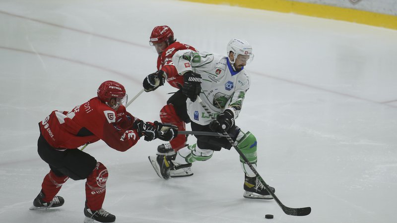 Fotografija: V tej sezoni bo SŽ Olimpija igrala v ICEHL, SIJ Acroni Jesenice pa bodo nadaljevale v alpski ligi. FOTO: Jože Suhadolnik/Delo