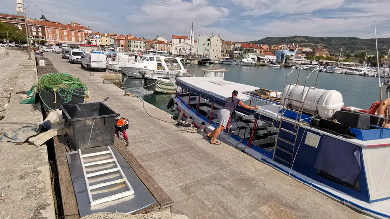 Fotografija: Obnova ribiškega pomola, ki je načrtovana za konec poletne turistične sezone in se bo začela v prihodnjih dneh, bo predvidoma trajala do maja prihodnje leto. FOTO: Boris Šuligoj/Delo