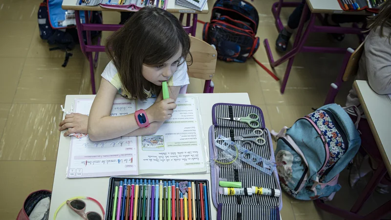 Fotografija: Na ministrstvu za izobraževanje opozarjajo, da je slovenski sistem utemeljen na izobraževanju v prostorih šol, šolanje na domu pa je ukrep, predviden kot začasni, za primere izjemnih osebnih okoliščin. Foto Jože Suhadolnik/delo
