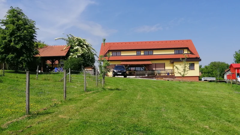 Fotografija: Prednosti bivanja na Mohorkovi kmetiji so sprehodi v naravi, individualna obravnava in druženje ter prilagajanje posamezniku. FOTO: arhiv Senior Turizma