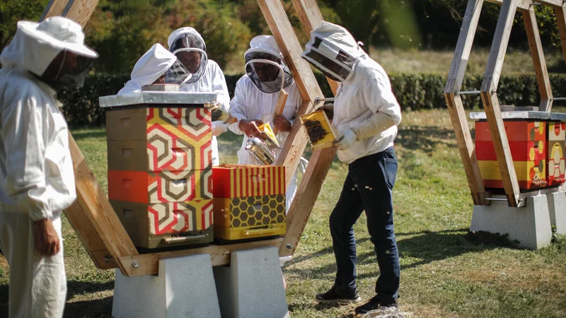 Fotografija: Obsojenci so pri projektu Medena celica z veseljem sodelovali, tako pri snovanju panja kot pri skrbi za čebele. FOTO: Uroš Hočevar/Delo
