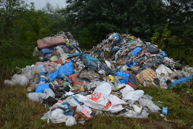 V EU recikliramo manj kot 30 odstotkov odpadkov. FOTO: Oste Bakal/Delo