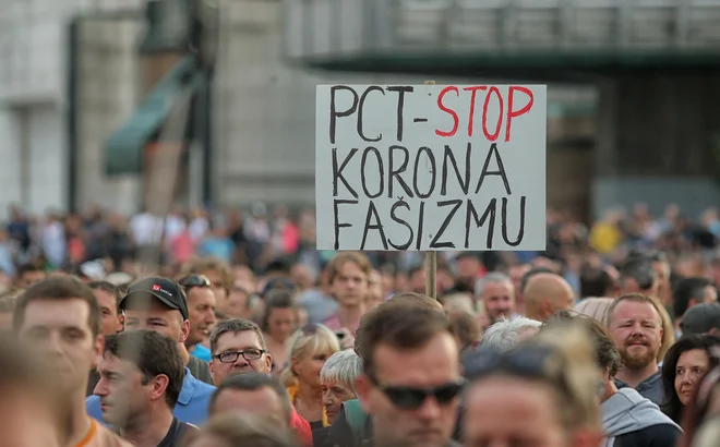 Skupinice protestnikov so policisti nato lovili po mestu. FOTO: Blaž Samec/Delo