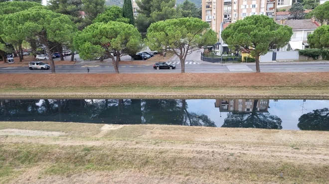 Reka Badaševica nima zdravega videza. FOTO: Nataša Čepar/Delo