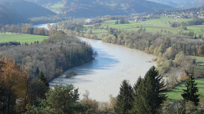 Fotografija: V pretočnem akumulacijskem jezeru med Krškim in Brežicami na Savi je bilo odkritih 1,2 mikroplastičnega delca na kubični meter. FOTO: Bojan Rajšek/Delo