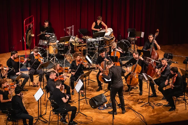 Ob sklepu festivala bo nastopila zasedba No Borders Orchestra, ki ob glasbi pošilja tudi aktualno družbeno sporočilo. Foto Dejan Bulut