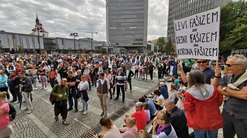 Fotografija: Na prijavljenem shodu se je zbralo nekaj sto ljudi. FOTO: Jože Suhadolnik/Delo