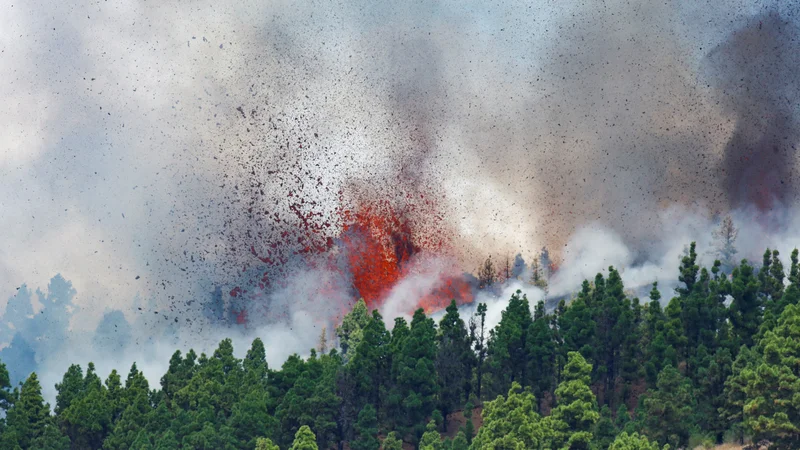 Fotografija: La Palma je sicer del vulkanske verige Cumbre Vieja. FOTO: Borja Suarez/Reuters