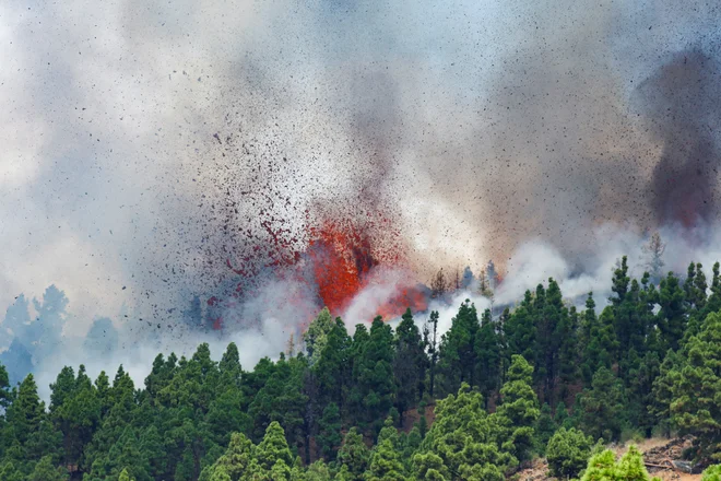 La Palma je sicer del vulkanske verige Cumbre Vieja. FOTO: Borja Suarez/Reuters
