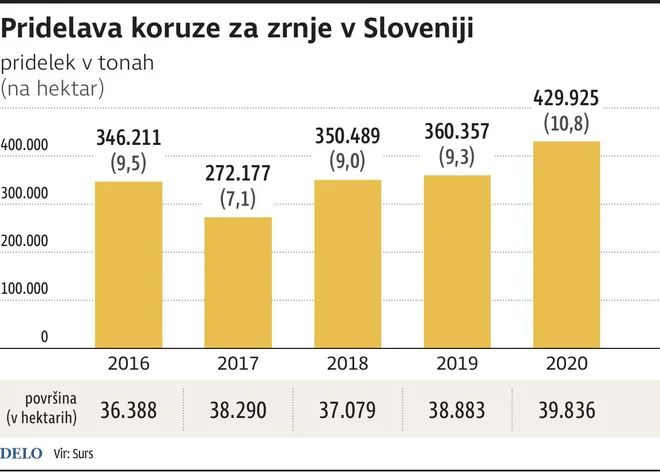 Koruza Pridelava