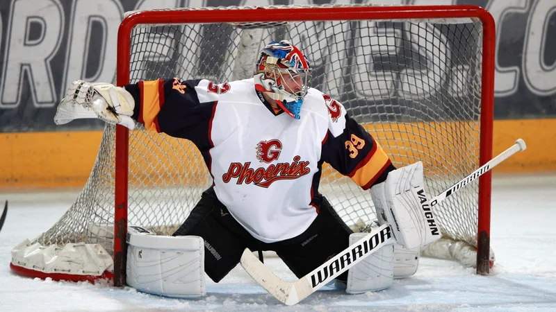 Fotografija: Petr Čech po nogometnih blesti tudi v hokejskih vratih. FOTO: Edgewings