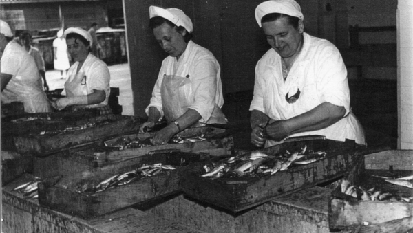 Fotografija: Delamarisove delavke v petdesetih letih prejšnjega stoletja. FOTO: Osebni arhiv Srečka Gombača//FisherCoast Exhibition