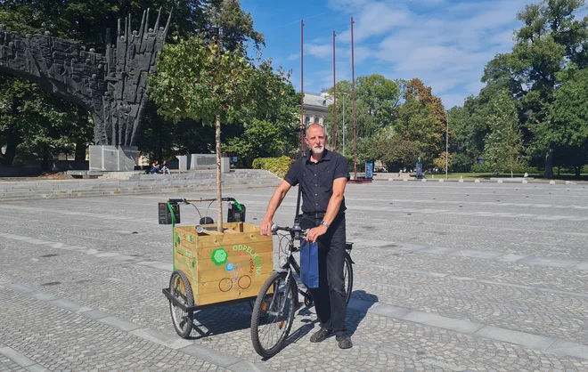 Drevesa ustvarjajo mikroklimo, ki poleti osveži veliko bolj kot senca betonskih stavb. FOTO: Eva Mikelj