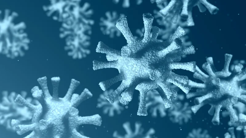 Fotografija: Delo Virus in filozofija je nastalo iz ljubezni do filozofije. FOTO: Shutterstock