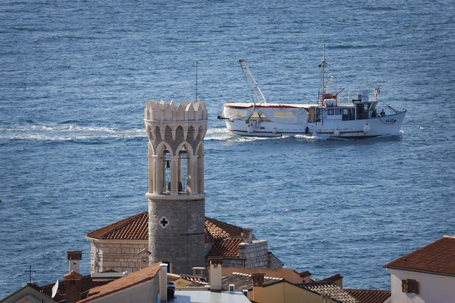 V primerjavi z letom 2019 je bilo lani tudi manj enodnevnih izletov, se je pa močno povečal odstotek enodnevnih izletov po Sloveniji. FOTO: Jože Suhadolnik